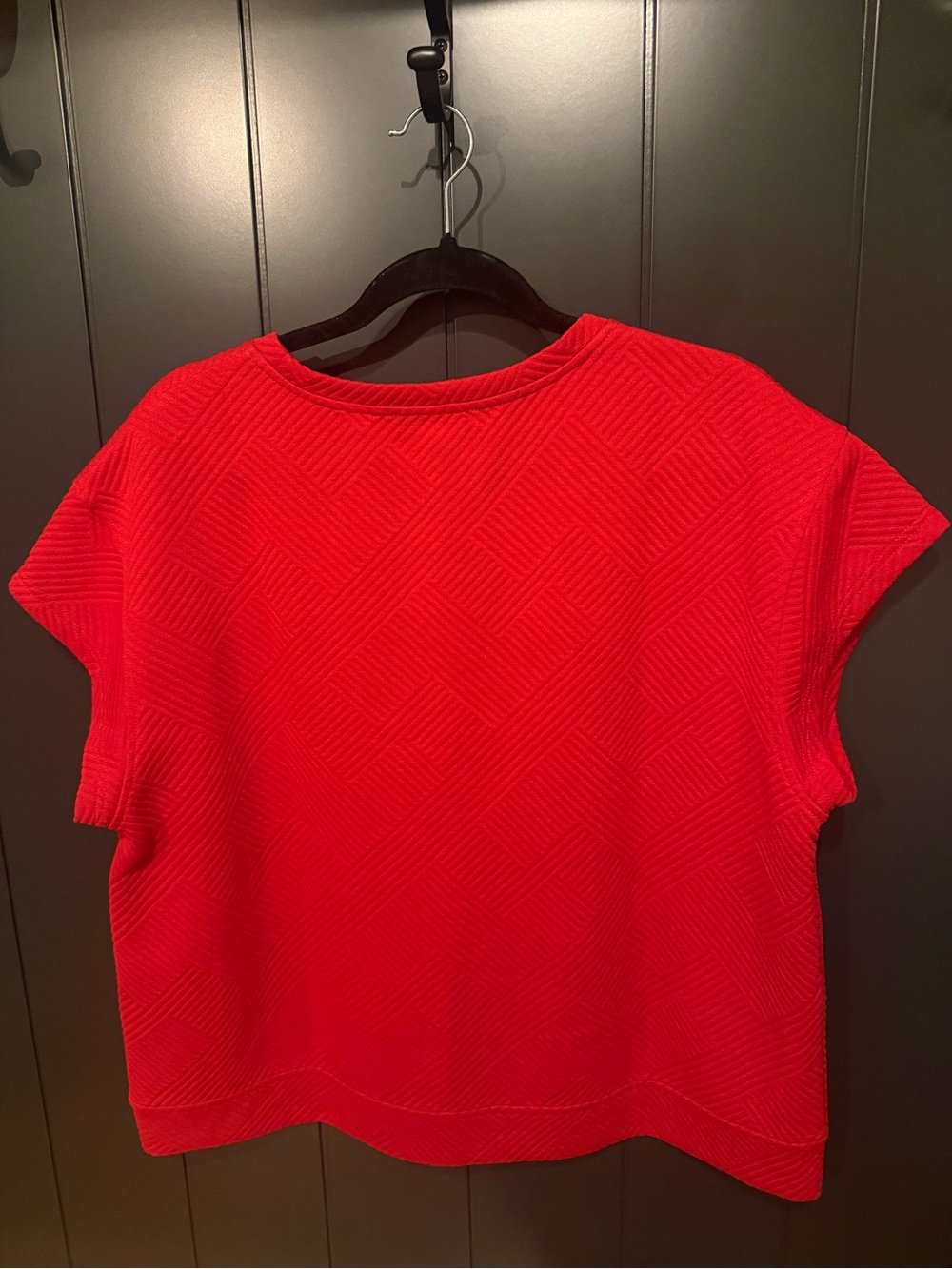 See and Be Seen Boutique Red Textured Cap Sleeve Top - Picture 4 of 5